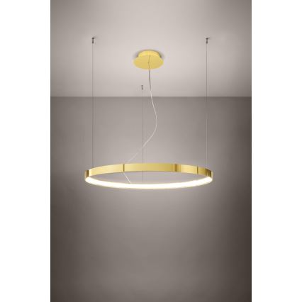 Thoro TH.246 - LED ljuskrona med textilsladd RIO LED/50W/230V CRI 90 3000K diameter 78 cm guld
