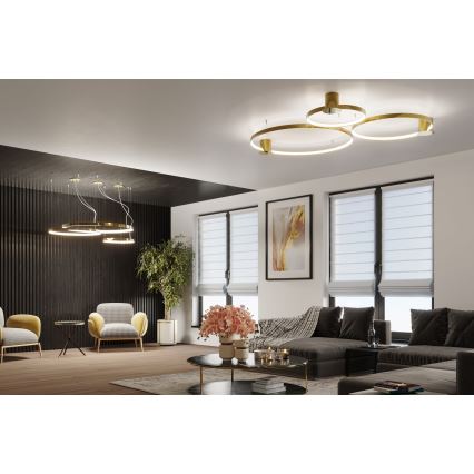 Thoro TH.252 - LED taklampa RIO LED/50W/230V CRI 90 3000K diameter 78 cm guld