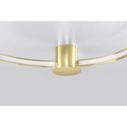Thoro TH.252 - LED taklampa RIO LED/50W/230V CRI 90 3000K diameter 78 cm guld