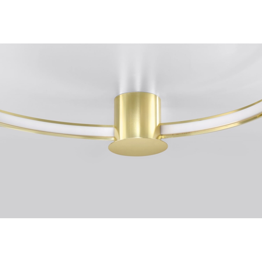Thoro TH.252 - LED taklampa RIO LED/50W/230V CRI 90 3000K diameter 78 cm guld