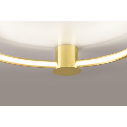 Thoro TH.252 - LED taklampa RIO LED/50W/230V CRI 90 3000K diameter 78 cm guld