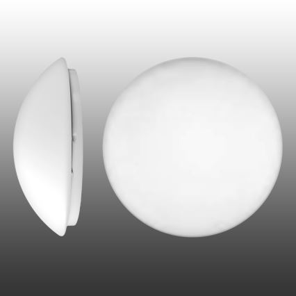 TOP LIGHT 5501/30/LED12 - LED vägglampa LED/12W/230V