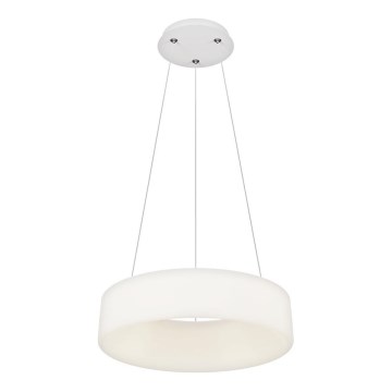 Top Light - Dimmbar Pendellampa HALO LED/40W/230V 3000-6500K Ø 44 cm + Fjärrkontroll