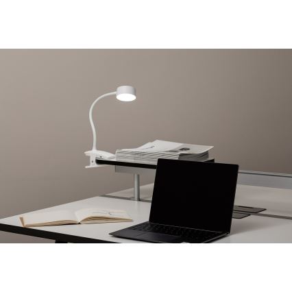 Top Light - Beröringsstyrd dimbar LED-bordslampa med klämma BELLA LED/4,8W/5V 3000-6500K vit