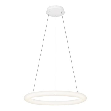 Top Light - LED-dimbar pendel på vajer RINGO LED/40W/230V 3000-6500K vit + fjärrkontroll