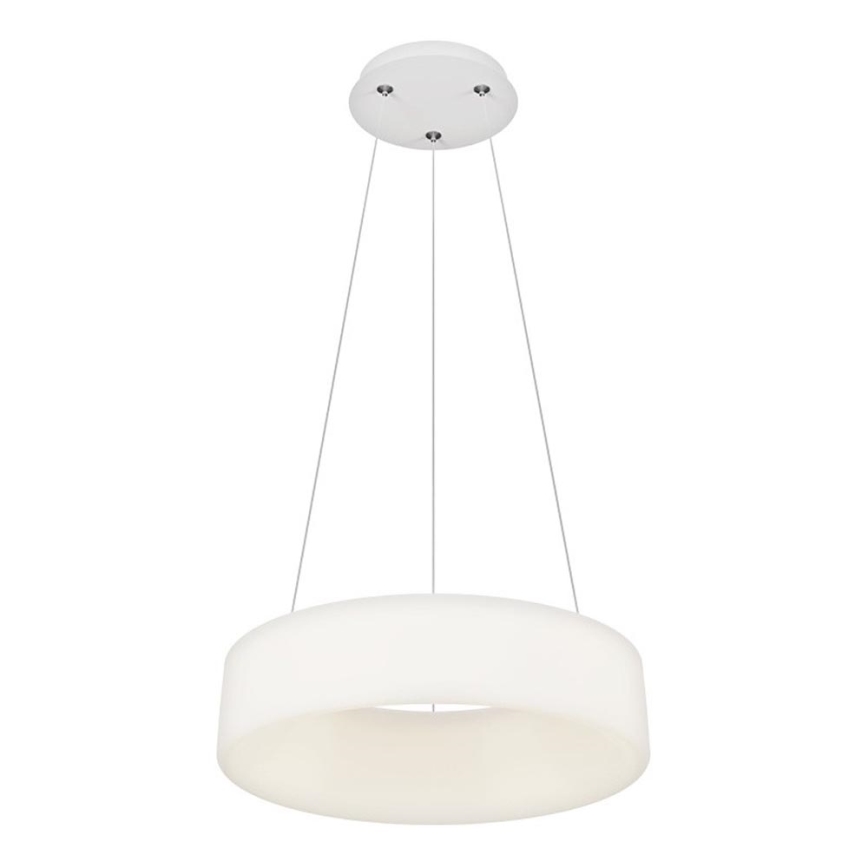 Top Light - LED Dimbar takkrona på lina HALO LED/40W/230V 3000-6500K Ø 44 cm + fjärrkontroll