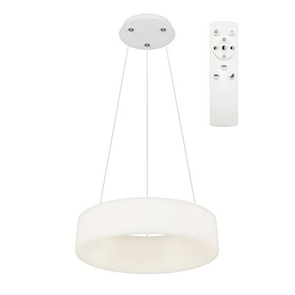 Top Light - LED Dimbar takkrona på lina HALO LED/40W/230V 3000-6500K Ø 44 cm + fjärrkontroll
