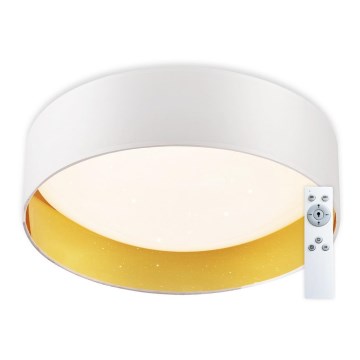 Top Light - LED Dimbar taklampa IVONA 40B +Fjärrkontrol LED/24W/230V + fjärrkontroll vit