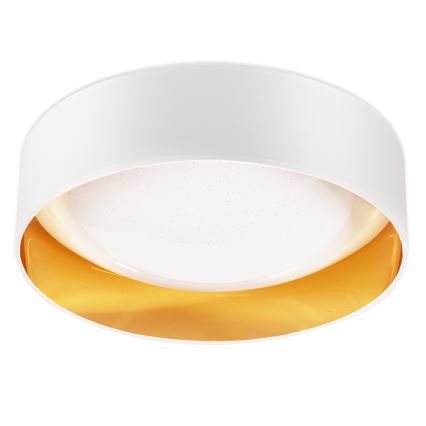 Top Light - LED Dimbar taklampa IVONA 40B +Fjärrkontrol LED/24W/230V + fjärrkontroll vit