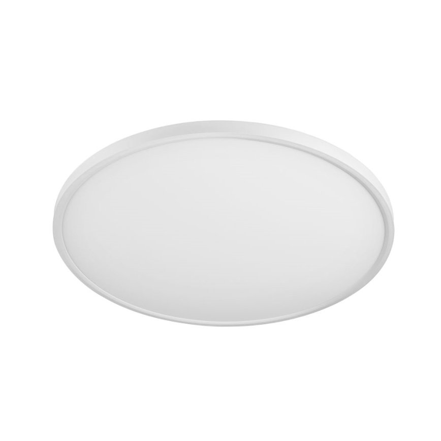 Top Light - LED Dimbar taklampa REVIT LED/50W/230V 3000-6500K + fjärrkontroll