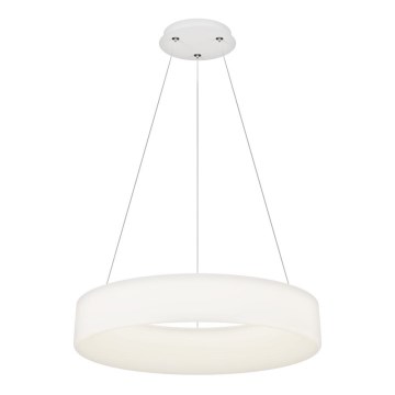 Top Light - LED Dimbar Taklampe HALO LED/60W/230V 3000-6500K diameter 60 cm + fjärrkontroll