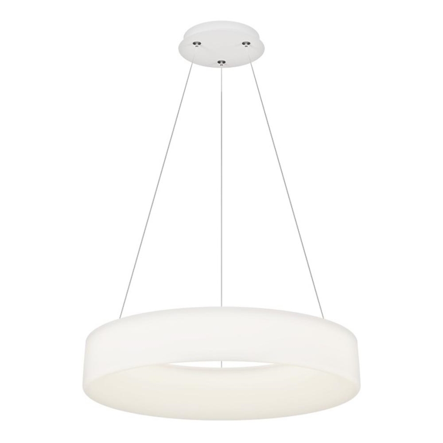 Top Light - LED-dimmbar hänglampa på vajer HALO LED/60W/230V 3000-6500K diam. 60 cm + fjärrkontroll