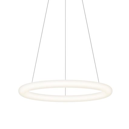 Top Light - LED-dimbar pendel på vajer RINGO LED/40W/230V 3000-6500K vit + fjärrkontroll