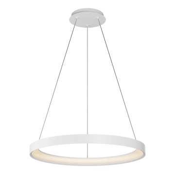 Top Light - LED ljusreglerad ljuskrona på textilsladd ORBIT LED/40W/230V 3000-6500K diameter 50 cm vit + fjärrkontroll
