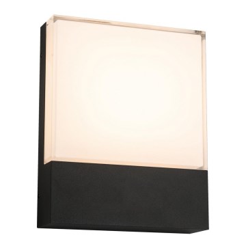 Top Light - LED vägglampa för utomhusbruk NOEL LED/10W/230V IP54 svart