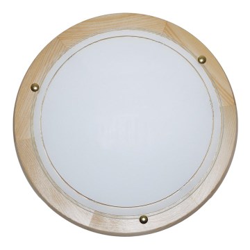 Top ljus 5502/30/SD - Takbelysning 1xE27/60W/230V