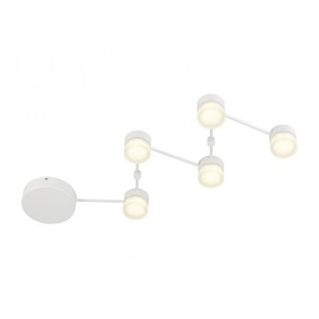 Trio - LED Dimbar taklampa NASHVILLE 5xLED/3W/230V
