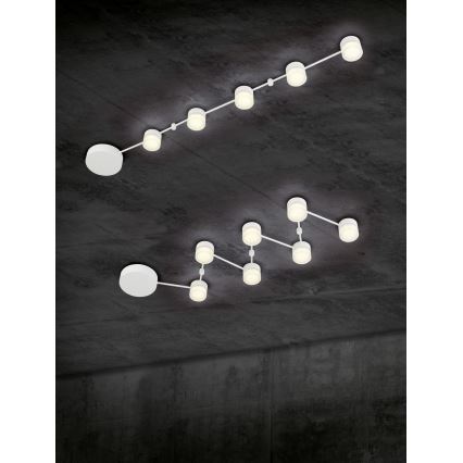 Trio - LED Dimbar taklampa NASHVILLE 5xLED/3W/230V