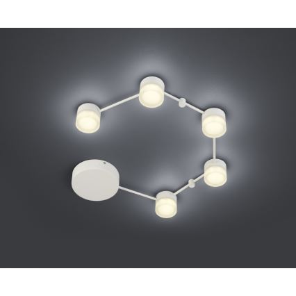 Trio - LED Dimbar taklampa NASHVILLE 5xLED/3W/230V