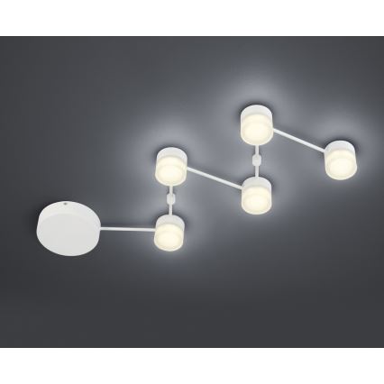 Trio - LED Dimbar taklampa NASHVILLE 5xLED/3W/230V