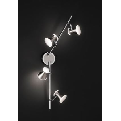 Trio - LED Spotlight DUKE 4xLED/4,3W/230V