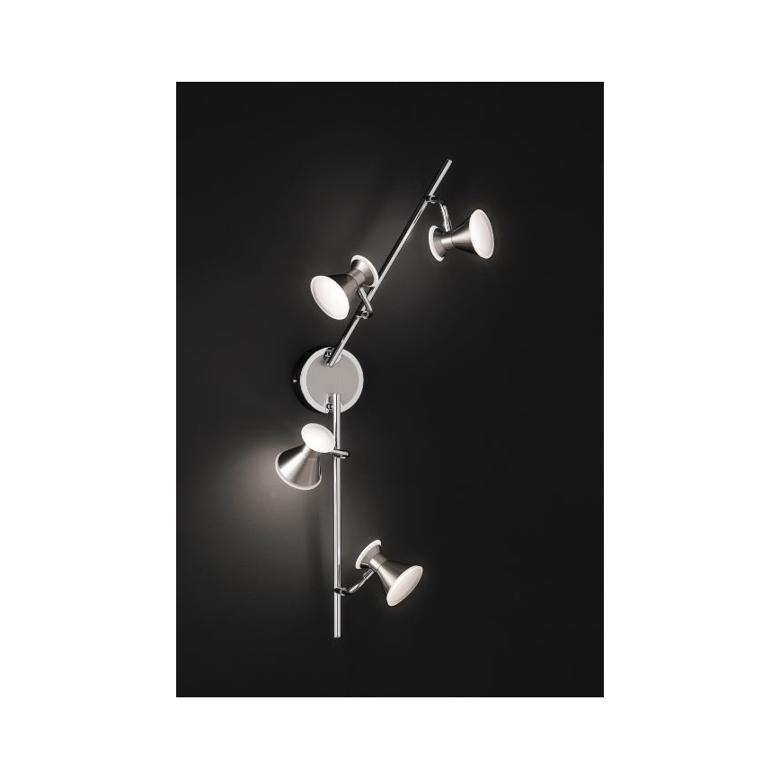 Trio - LED Spotlight DUKE 4xLED/4,3W/230V