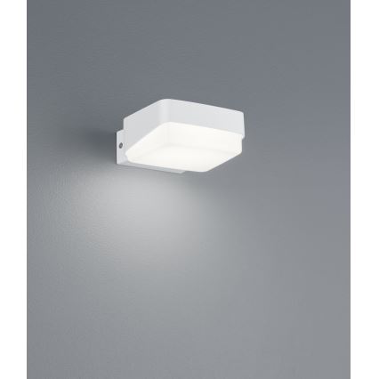 Trio - LED vägglampa för utomhusbruk JUBA LED/10W/230V IP65