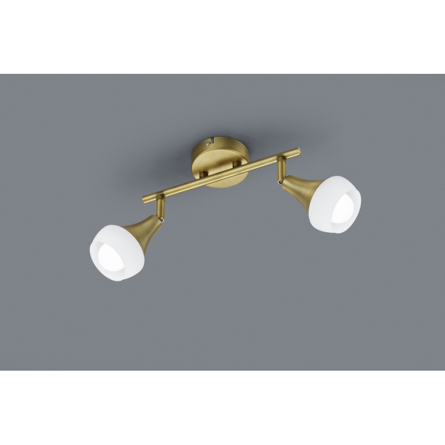 TRIO - Spotlight TRUMPET 2xE14/40W/230V