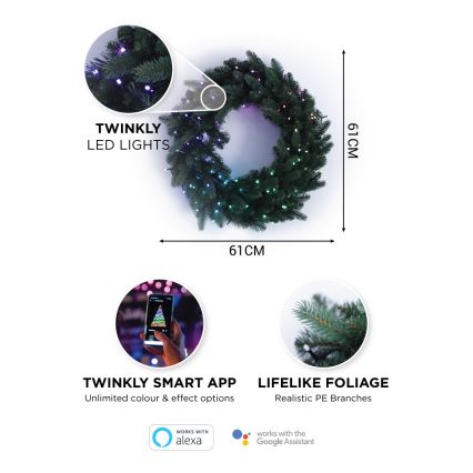 Twinkly - LED RGB Ljusreglerad Julkrans PRE-LIT WREATH 50xLED diameter 61cm Wi-Fi