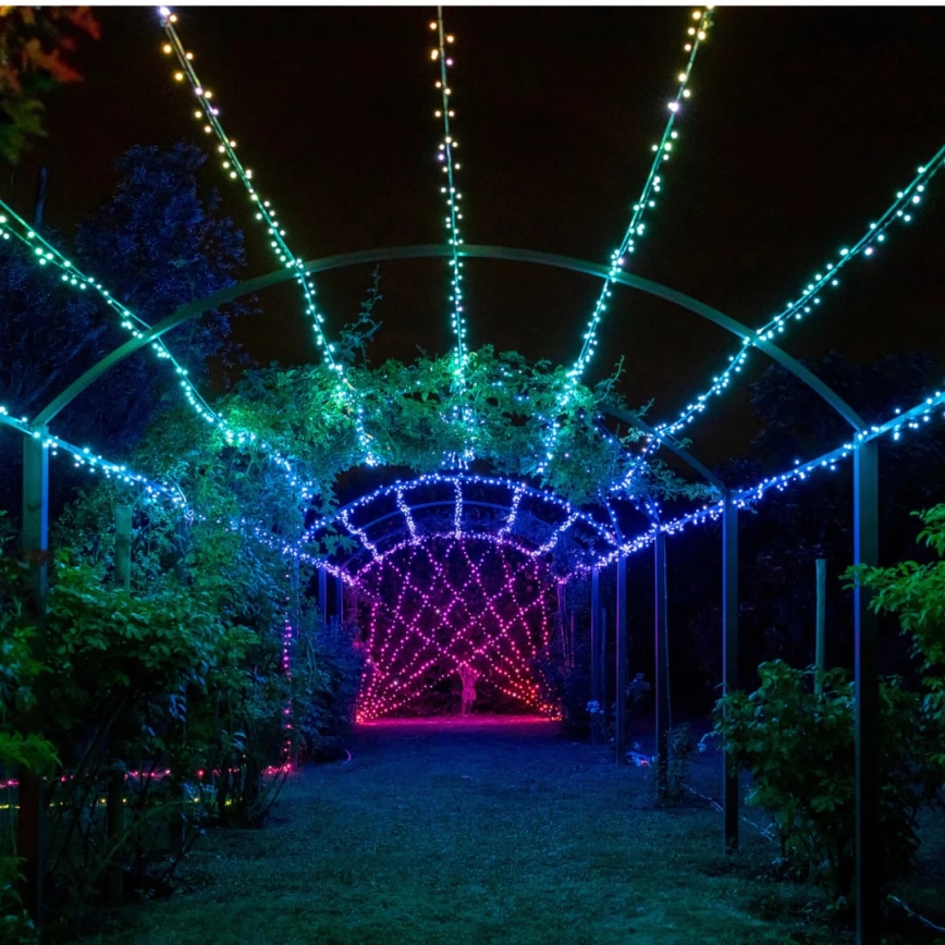 Twinkly - LED RGBW Ljusreglerad utomhus Julkedja STRINGS 250xLED 23,5m IP44 Wi-Fi