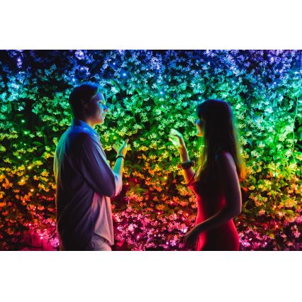 Twinkly - LED RGB Ljusreglerad utomhus Julkedja STRINGS 600xLED 51,5m IP44 Wi-Fi