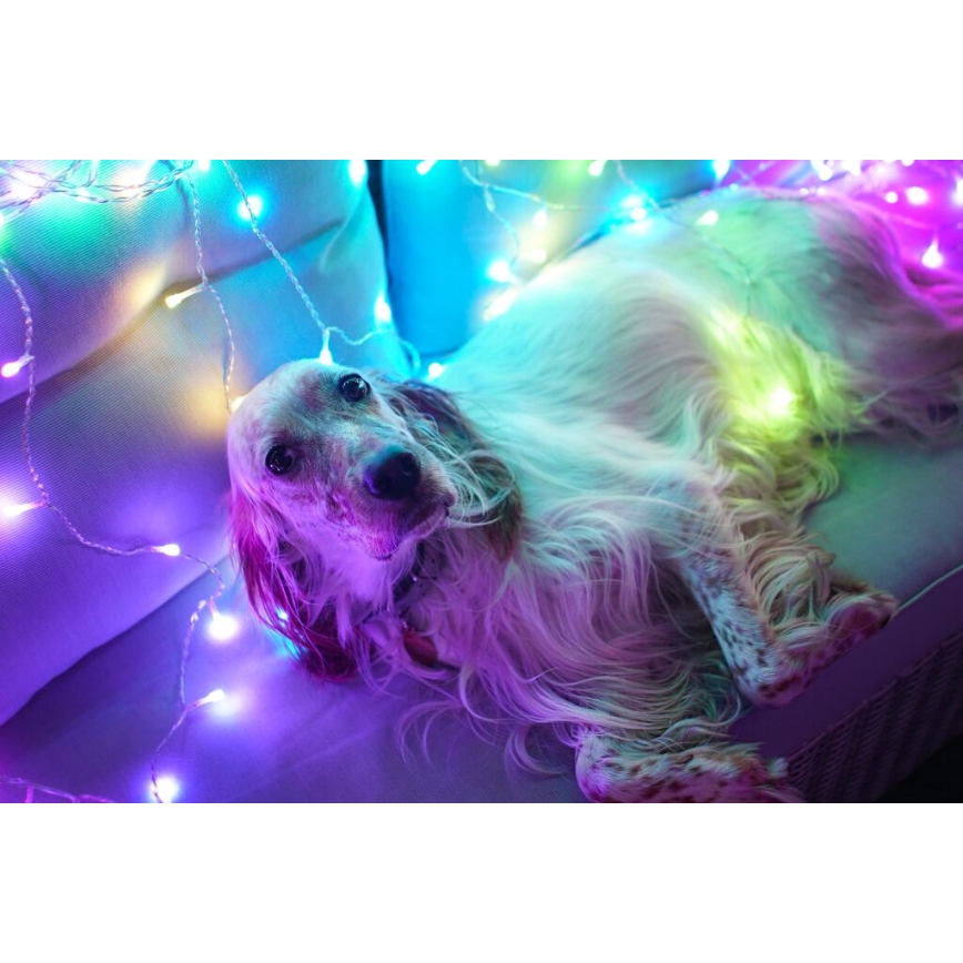 Twinkly - LED RGBW Ljusreglerad utomhus Julgardin CURTAIN 210xLED 6,1m IP44 Wi-Fi