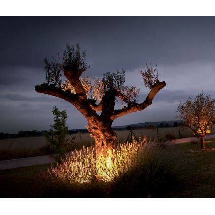 Utomhus LED belysning EASY CONNECT 1xGU10/6,5W/230V IP67 matt krom