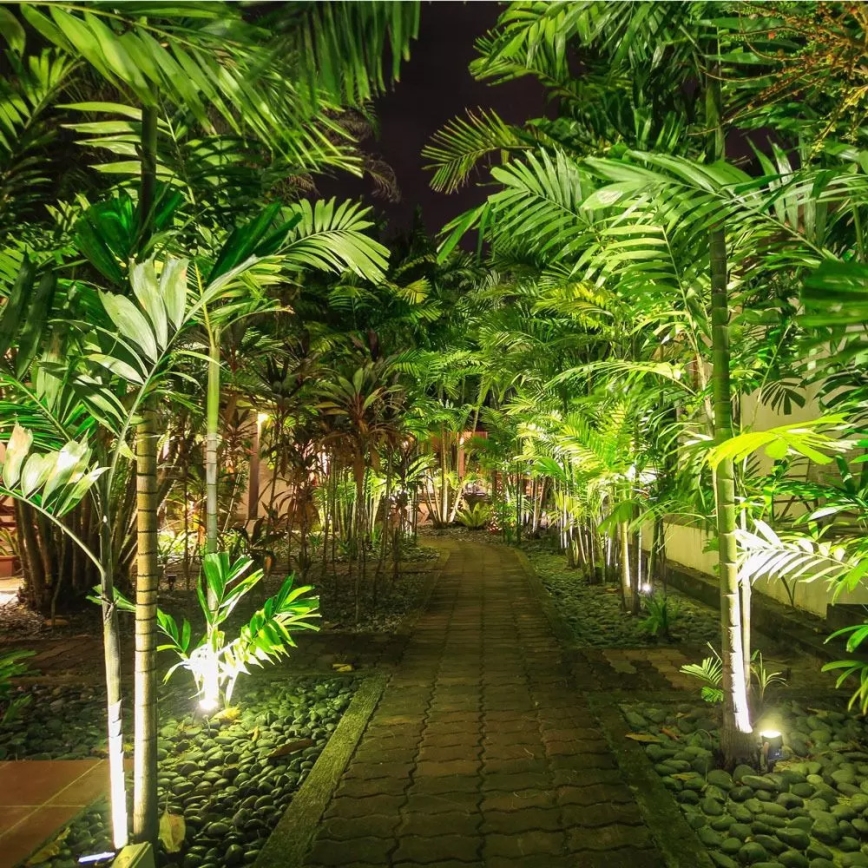 Utomhus LED belysning LED/12W/100-240V IP65