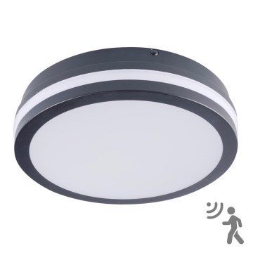 Utomhus LED lampa med sensor  BENO LED/18W/230V 4000K antracit  IP54