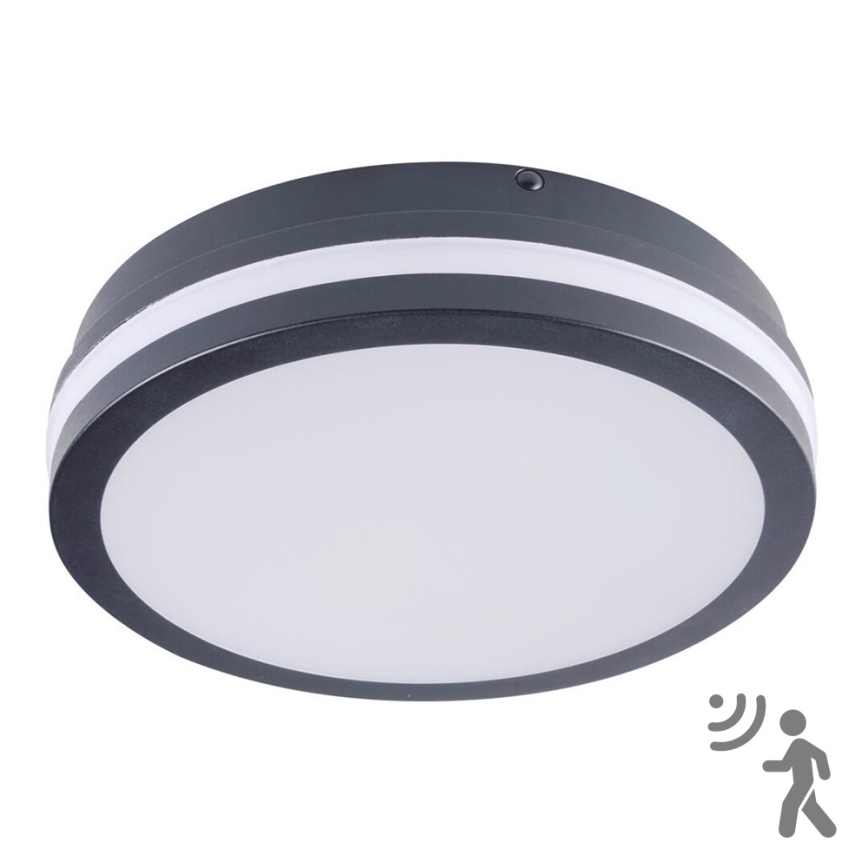 Utomhus LED lampa med sensor  BENO LED/18W/230V 4000K antracit  IP54