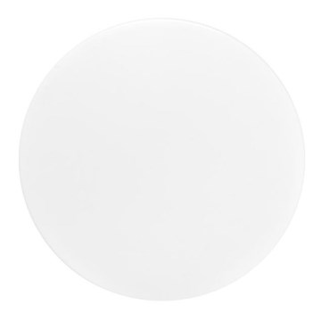 Utomhus LED Takbelysning NELA LED/20W/230V IP44