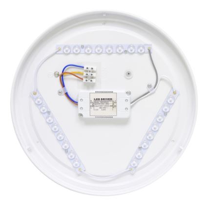 Utomhus LED Takbelysning NELA LED/32W/230V IP44