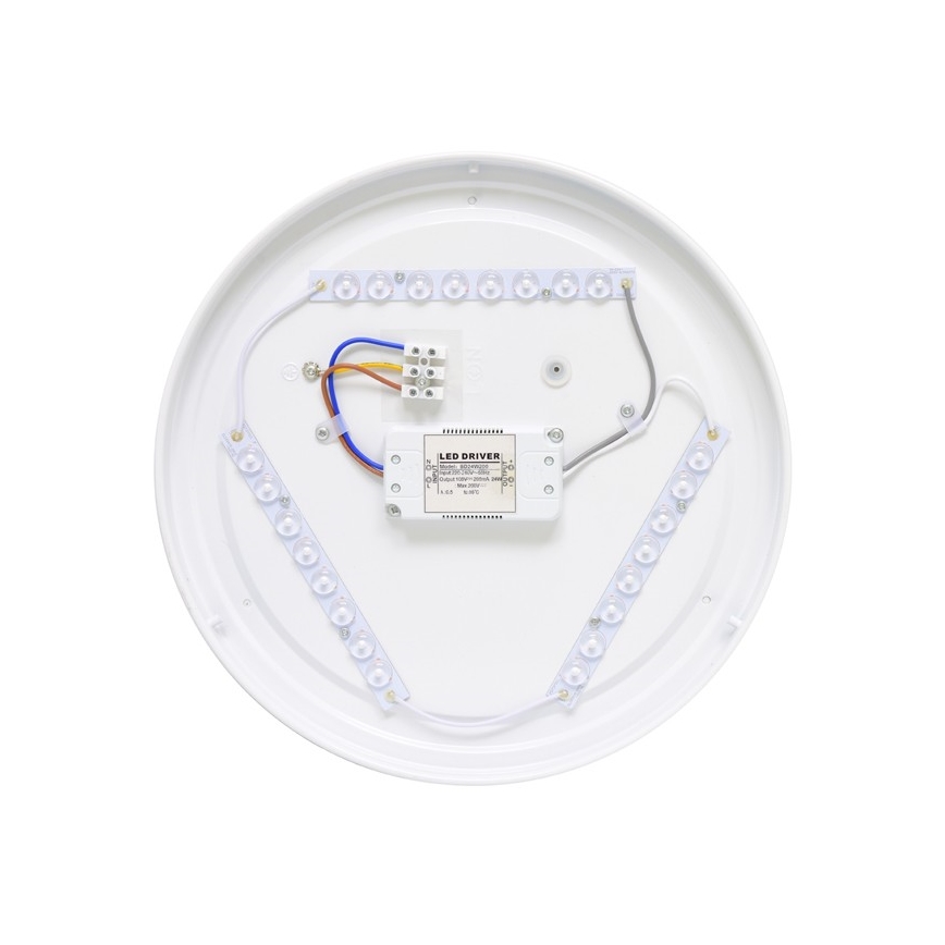 Utomhus LED Takbelysning NELA LED/32W/230V IP44