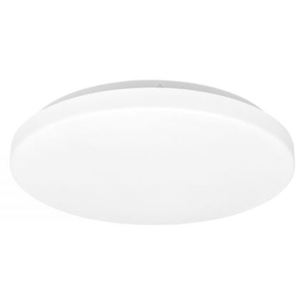 Utomhus LED Takbelysning NELA LED/32W/230V IP44
