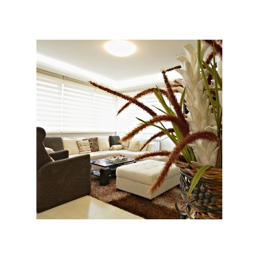 Utomhus LED Takbelysning NELA LED/32W/230V IP44