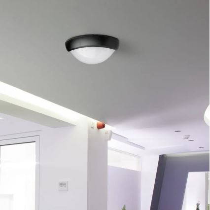 Utomhus LED taklampa  LED/12W/230V IP54