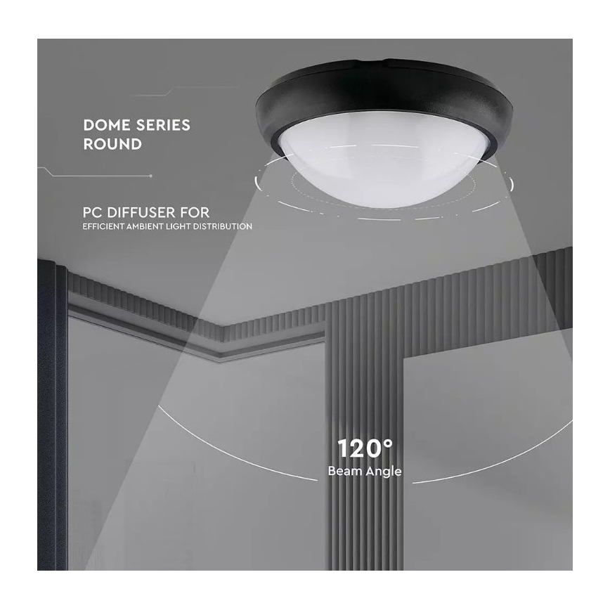Utomhus LED taklampa  LED/12W/230V IP54