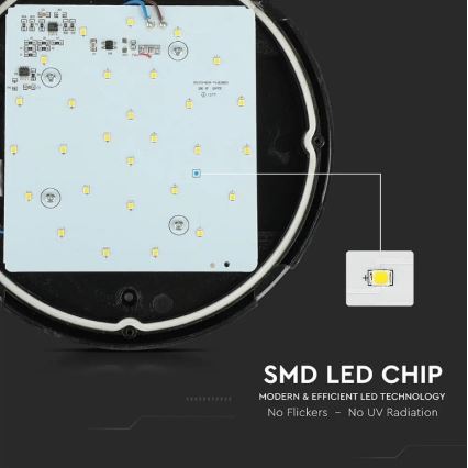 Utomhus LED taklampa  LED/12W/230V IP54