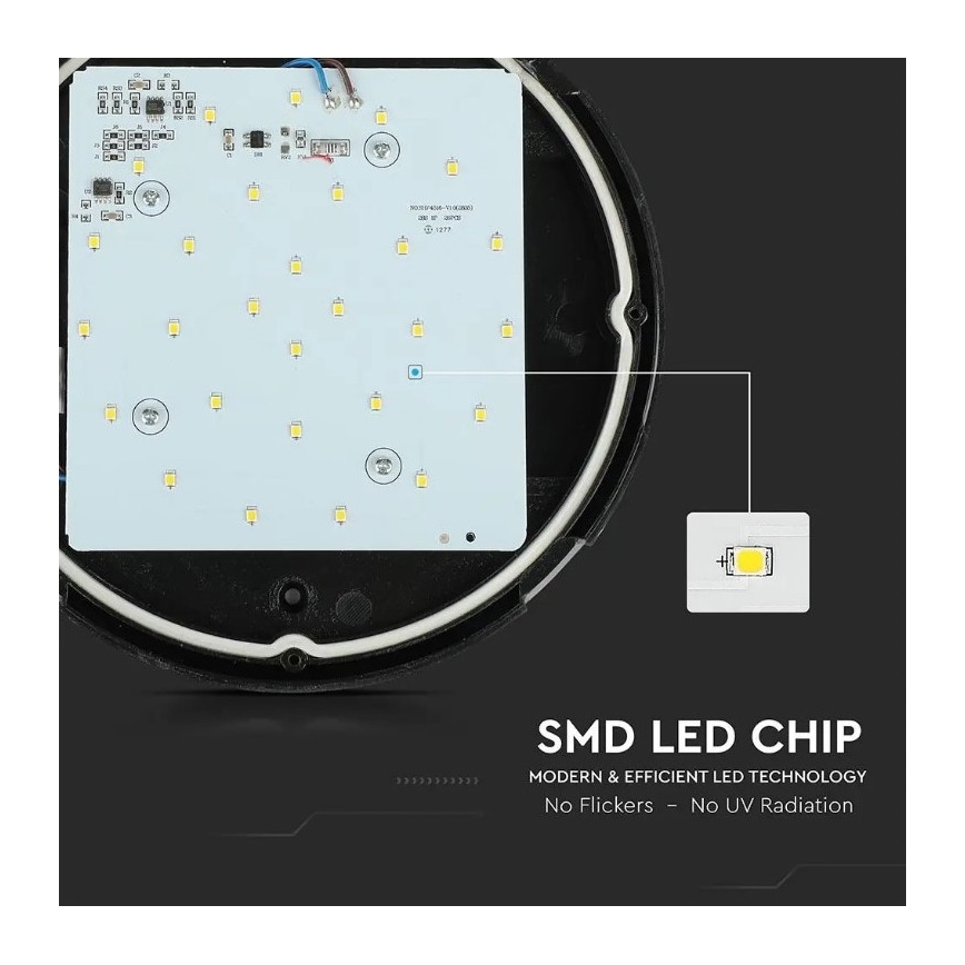 Utomhus LED taklampa  LED/12W/230V IP54