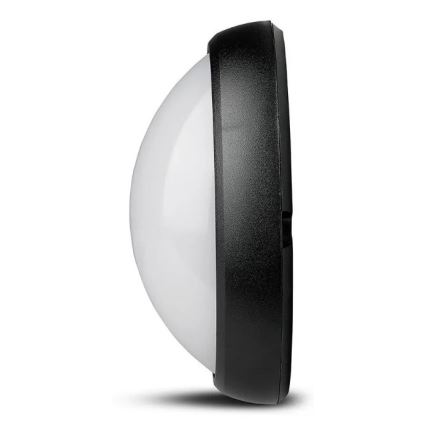 Utomhus LED taklampa  LED/12W/230V IP54