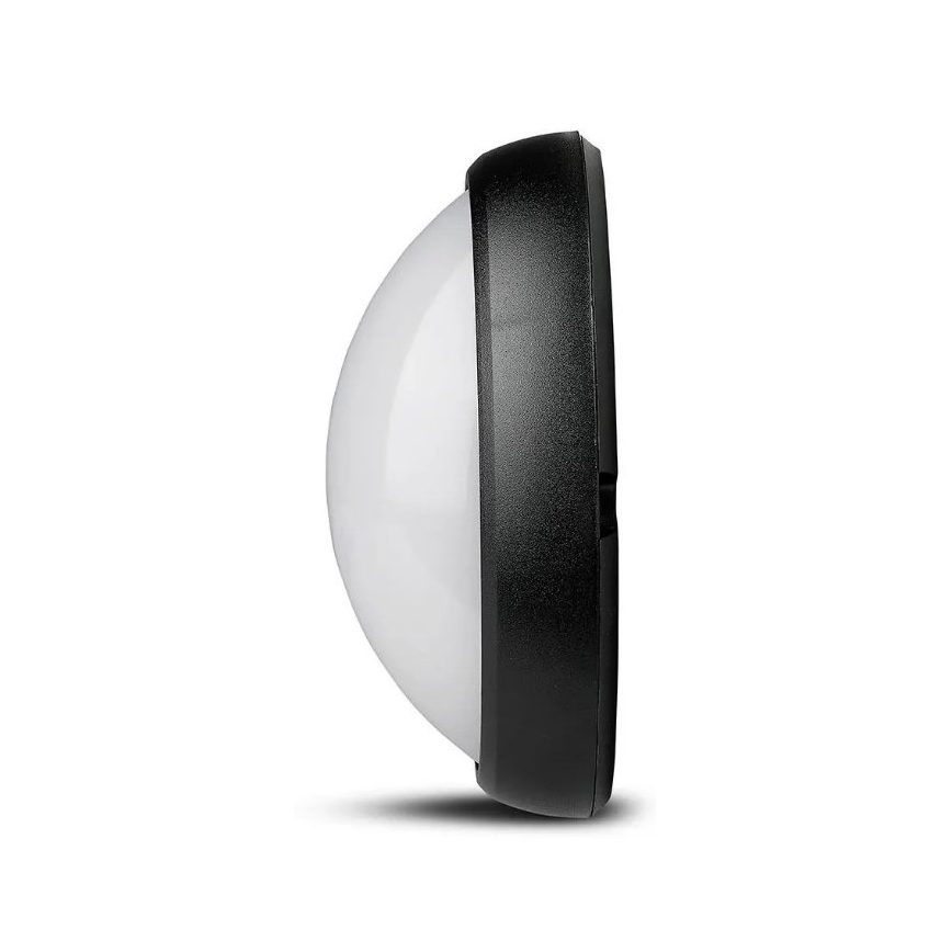 Utomhus LED taklampa  LED/12W/230V IP54
