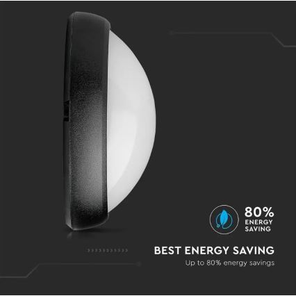Utomhus LED taklampa  LED/12W/230V IP54