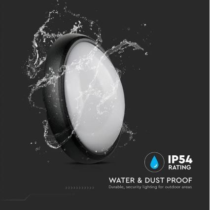 Utomhus LED taklampa  LED/12W/230V IP54
