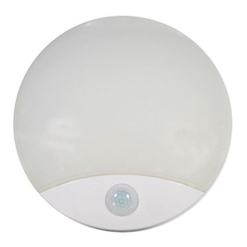 Utomhus LED taklampa  med sensor  LED/15W/230V IP44